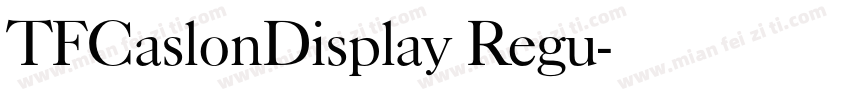 TFCaslonDisplay Regu字体转换